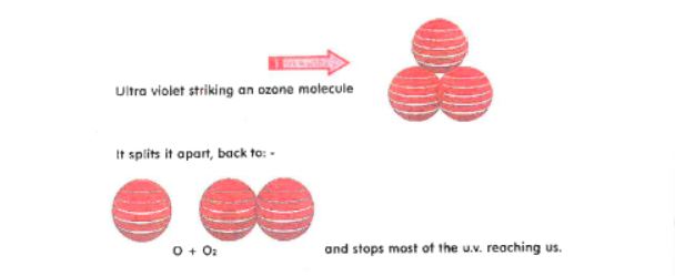 how the ozone layer protects us from uv rays